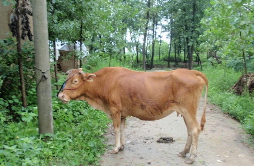 杭州最新求一个套医保卡的黄牛是真的吗方法分析(最方便真实的杭州求一个套医保卡的黄牛是真的吗还是假的方法)